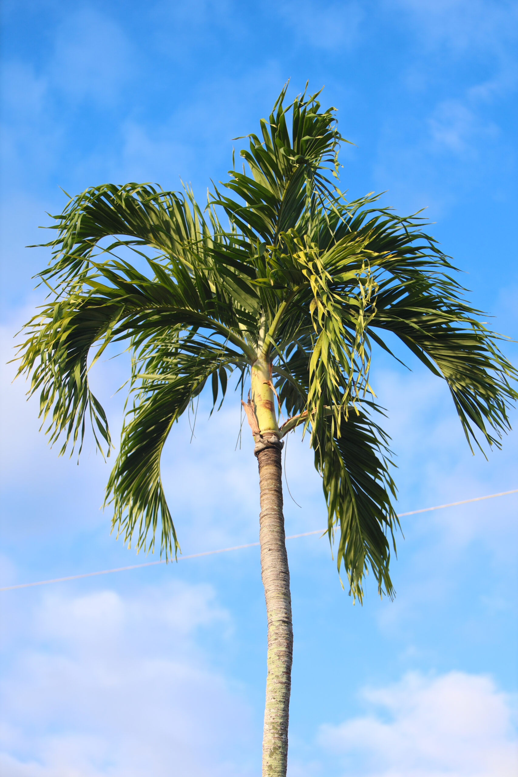 Puerto Rico