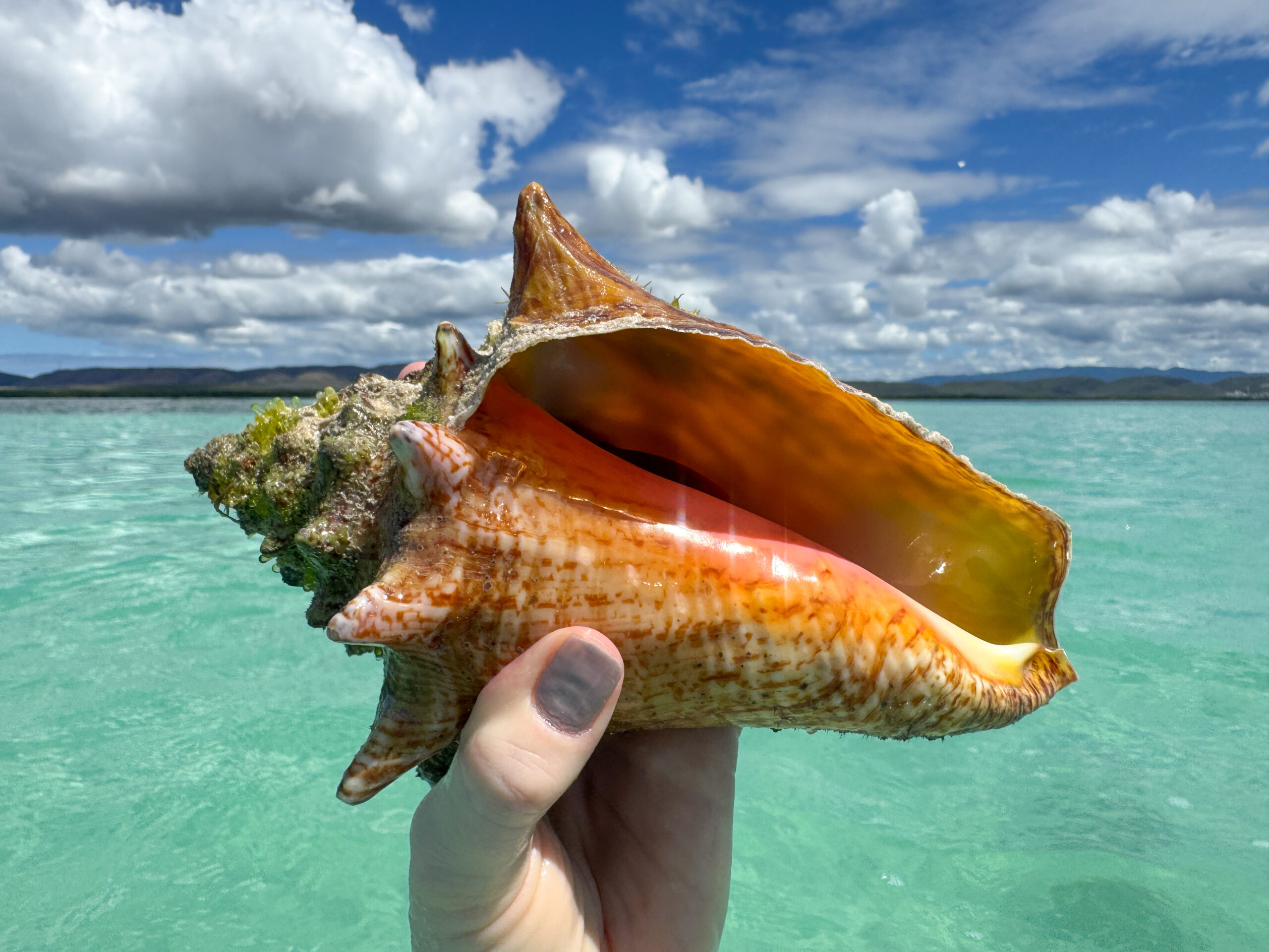 Puerto Rico