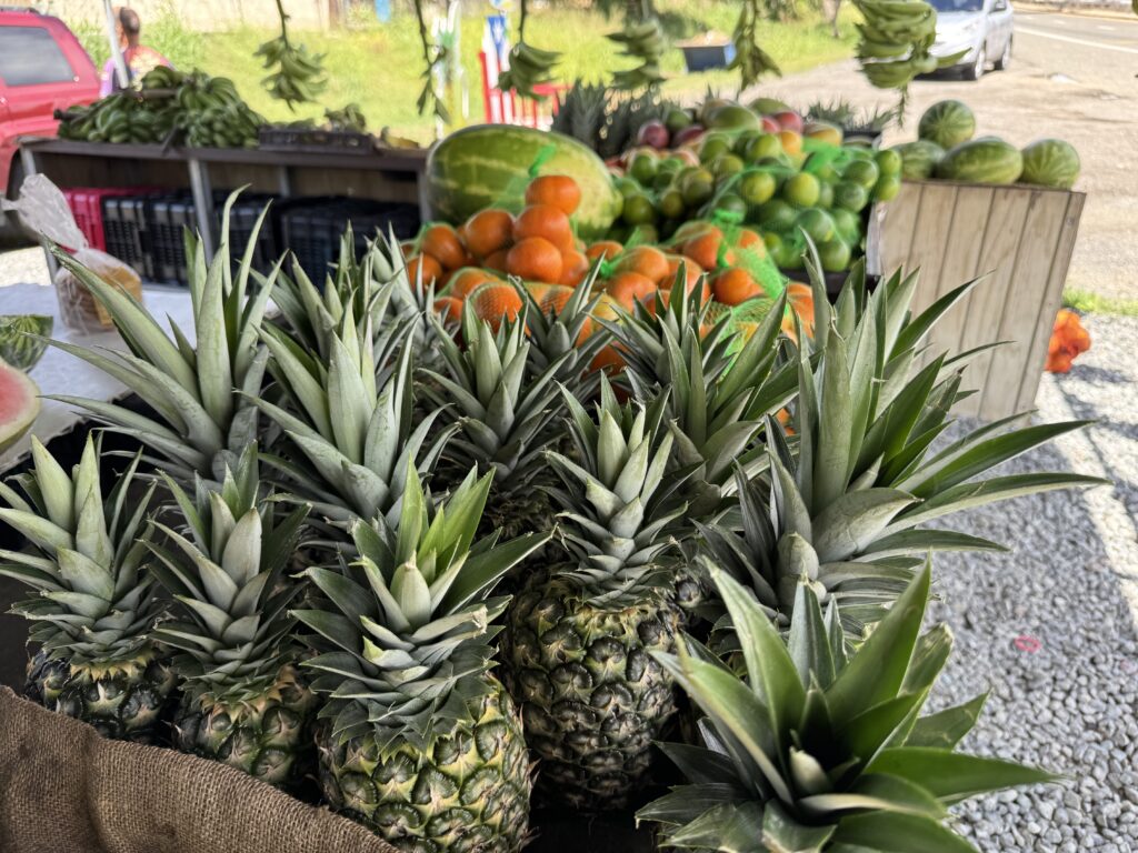 Puerto Rican Food - Fruit Stand - Pineapples